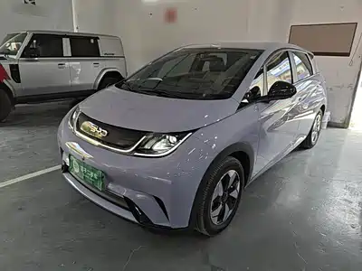 BYD Dolphin 2024