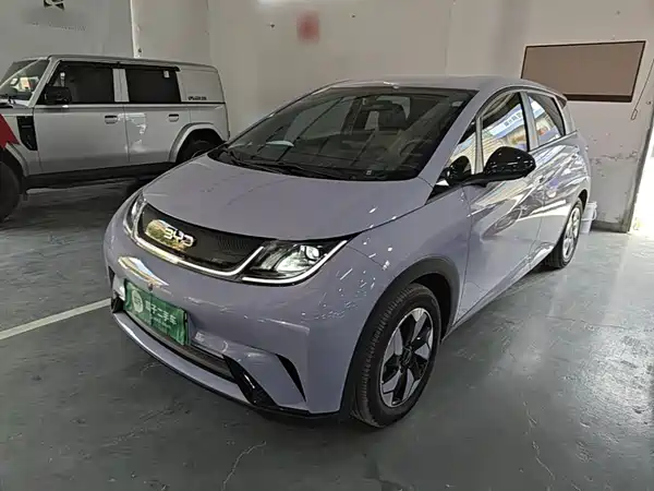 BYD Dolphin 2024