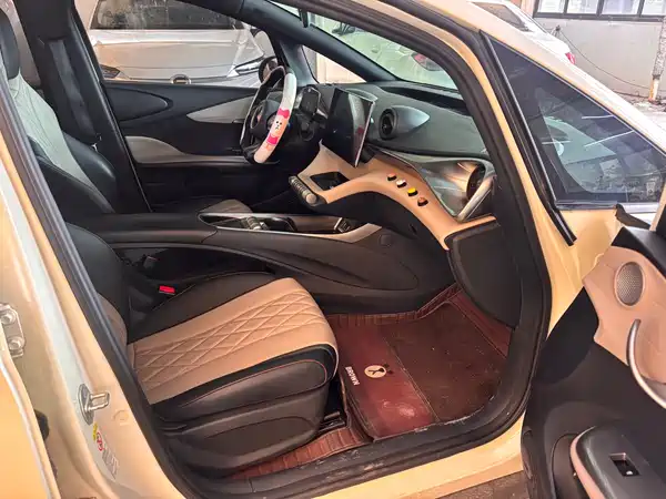 BYD Dolphin 2022