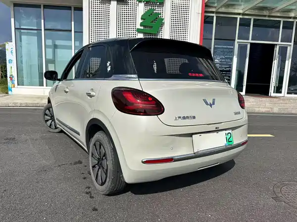 Wuling Bingo 2024