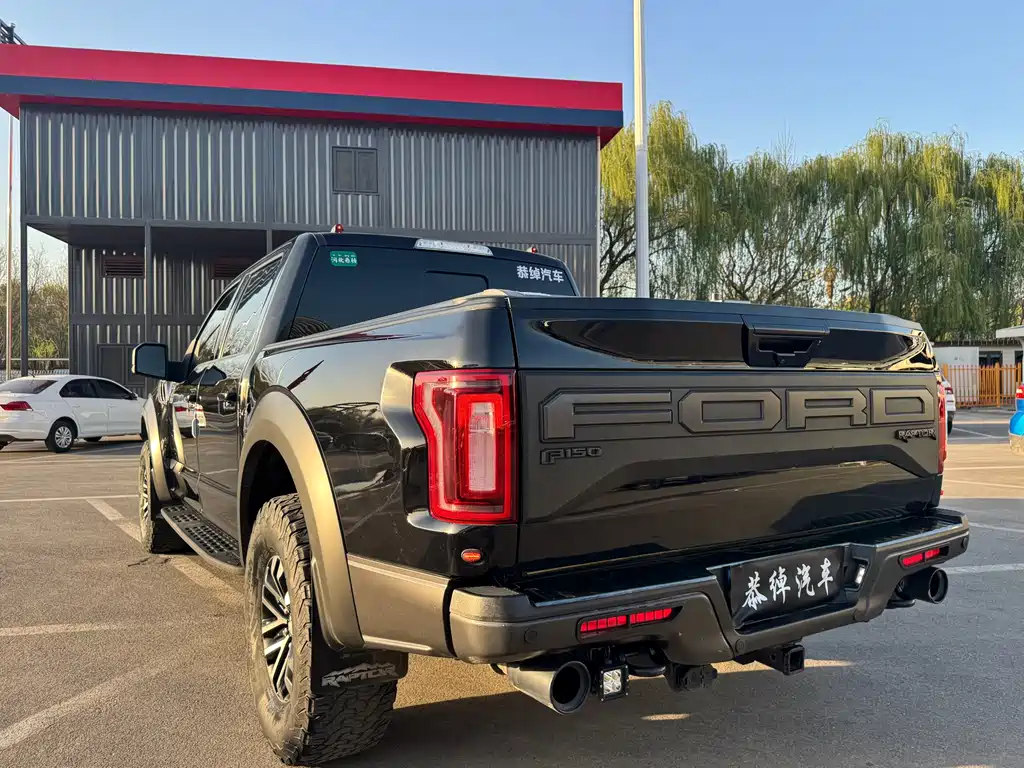 Ford F-150 Raptor 2020 — фото 8
