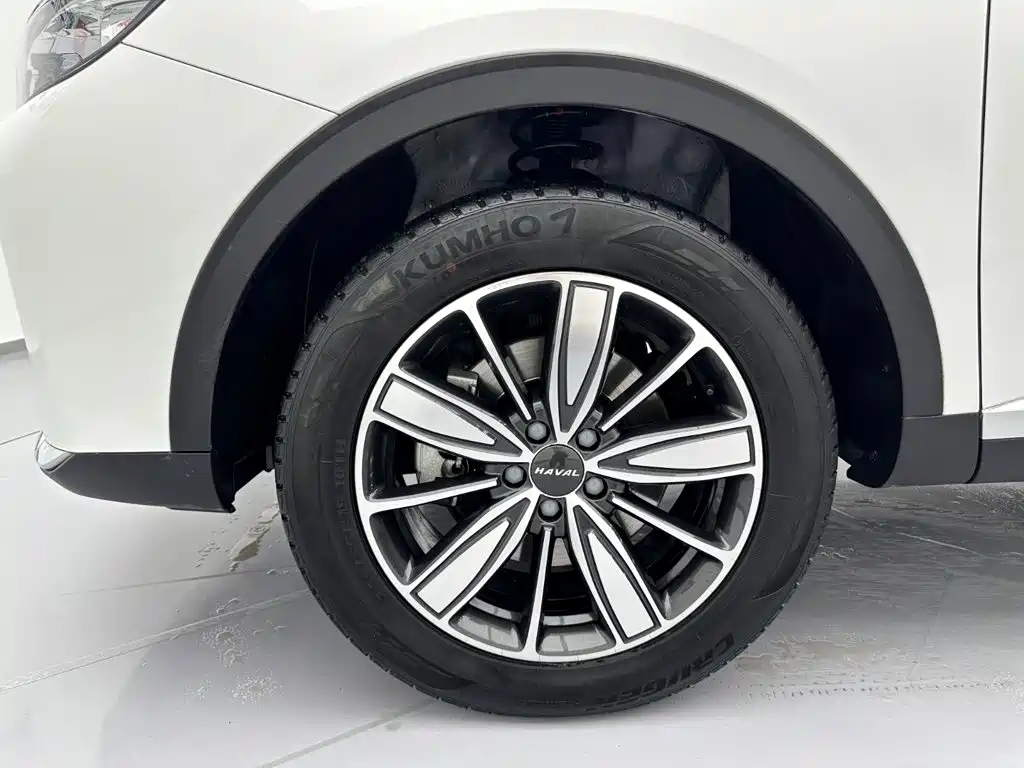 Haval H6 2021 — фото 29