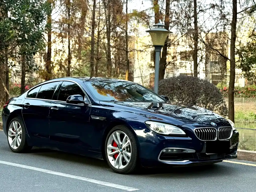 BMW 6 Series 2017 — фото 2