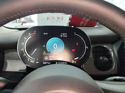 MINI MINI 2021