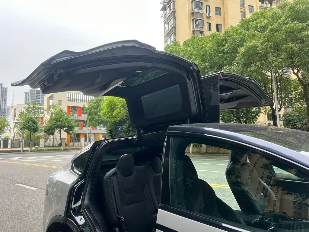 Tesla Model X 2018 — фото 22