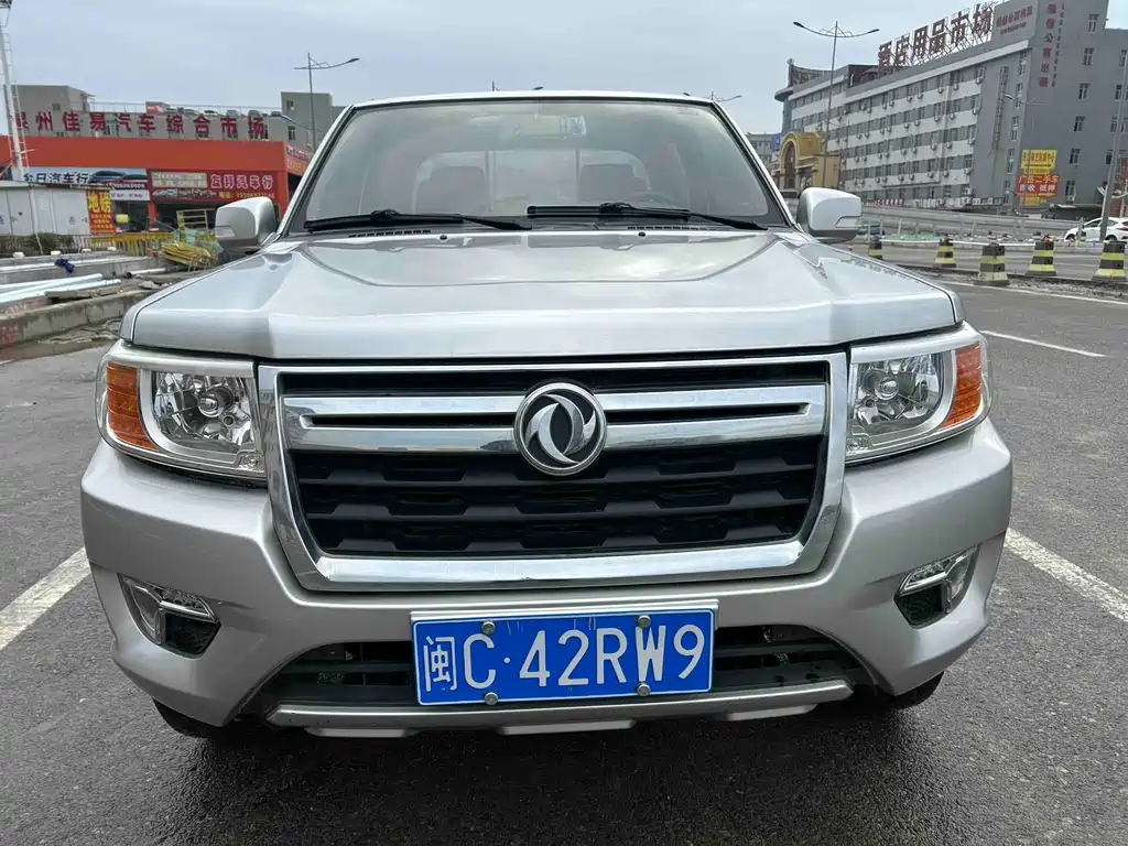 Dongfeng Ruiqi 2021