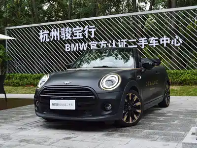 MINI MINI 2020