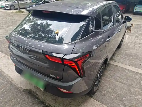 Neta V 2021