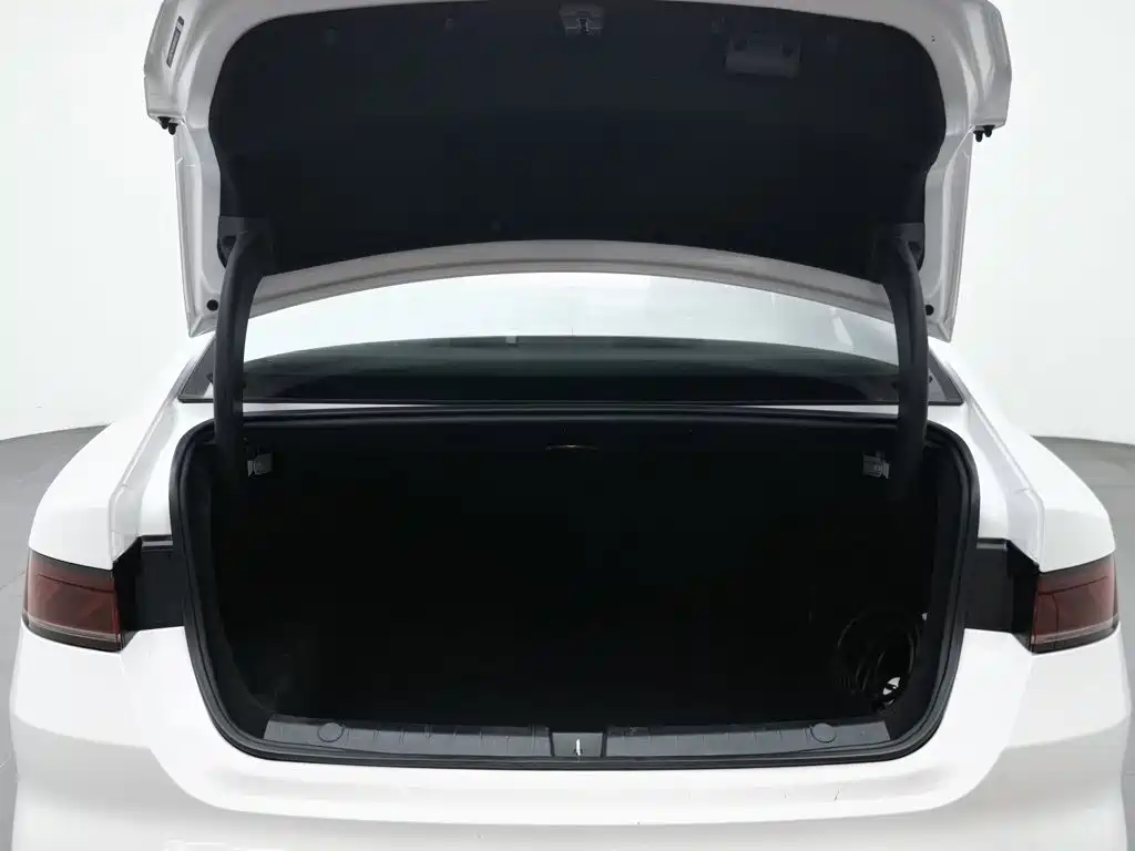 BYD Qin PLUS 2024 — фото 16
