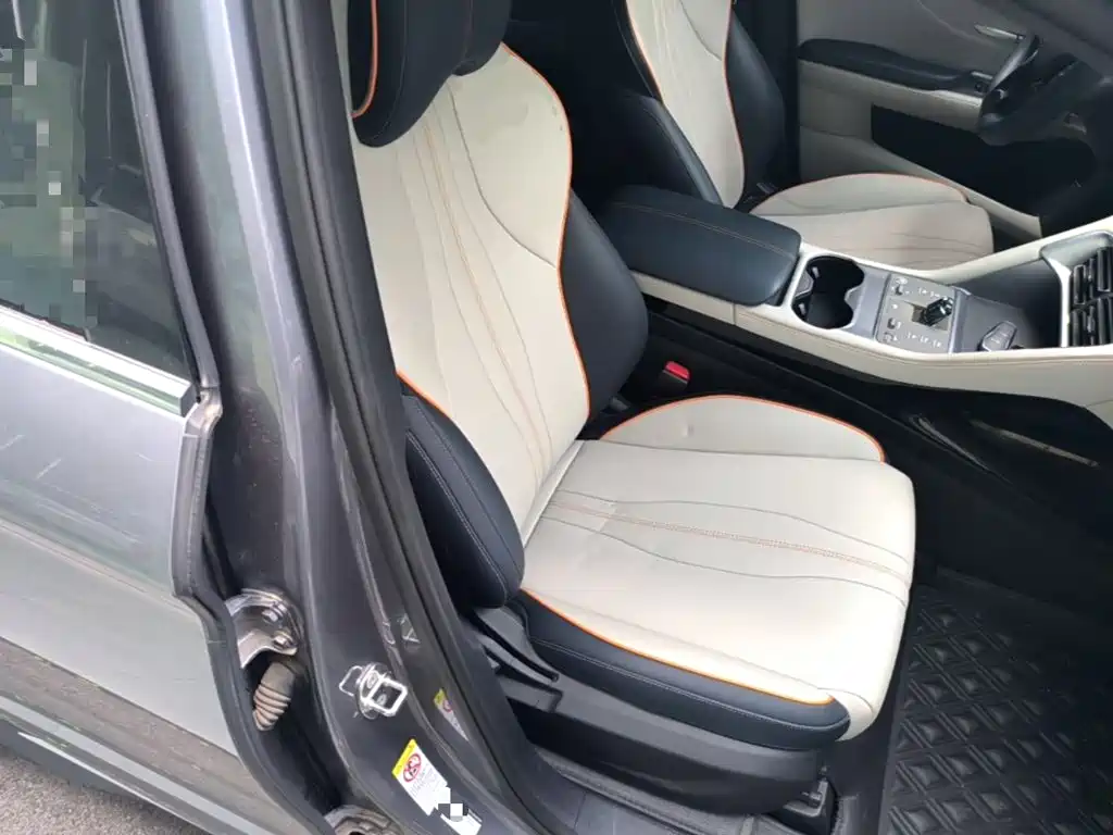 BYD Song PLUS New Energy 2024 — фото 25