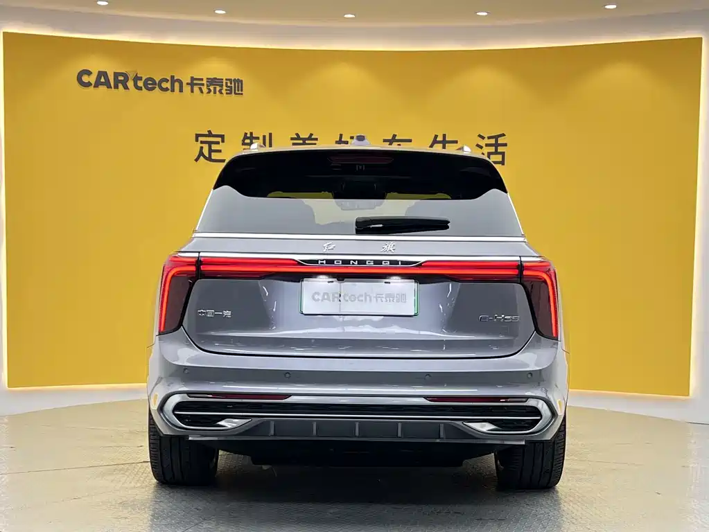 Hongqi E-HS9 2023 — фото 33