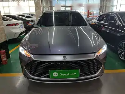 BYD Qin PLUS 2024