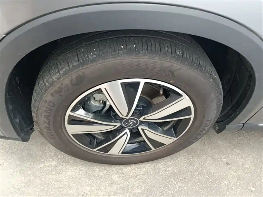 BYD Pro New Energy 2023 — фото 23
