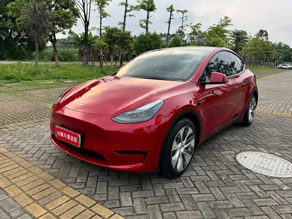 Tesla Model Y 2023 — фото 1