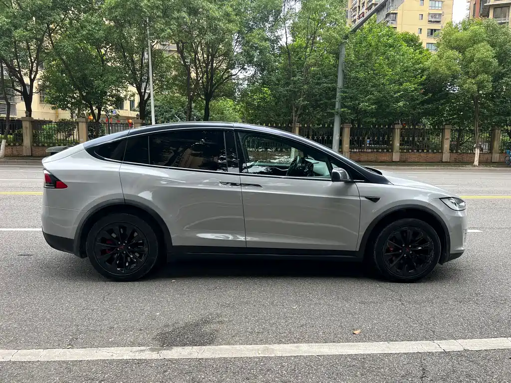 Tesla Model X 2018 — фото 15