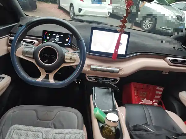 BYD Seagull 2024