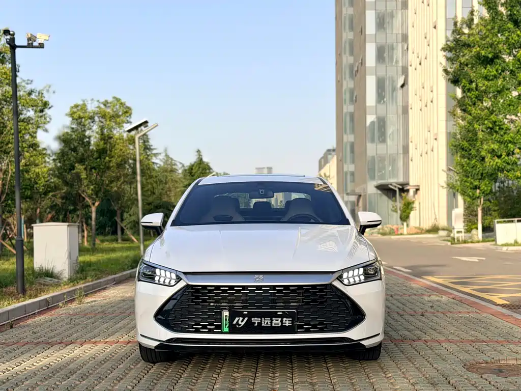 BYD Qin PLUS 2024 — фото 2