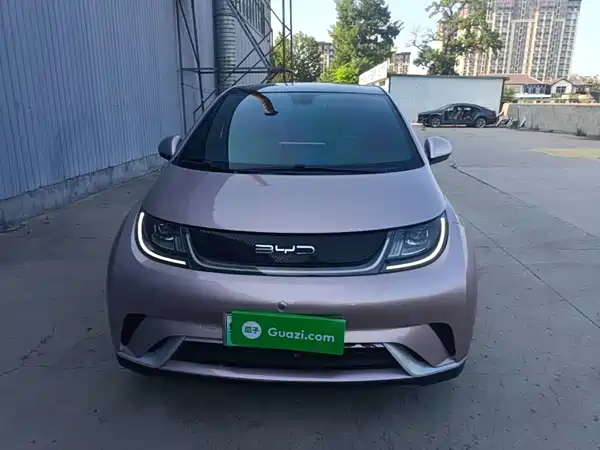 BYD Dolphin 2022