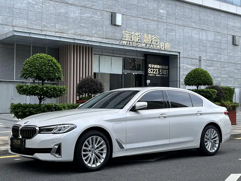 BMW 5 Series New Energy 2021