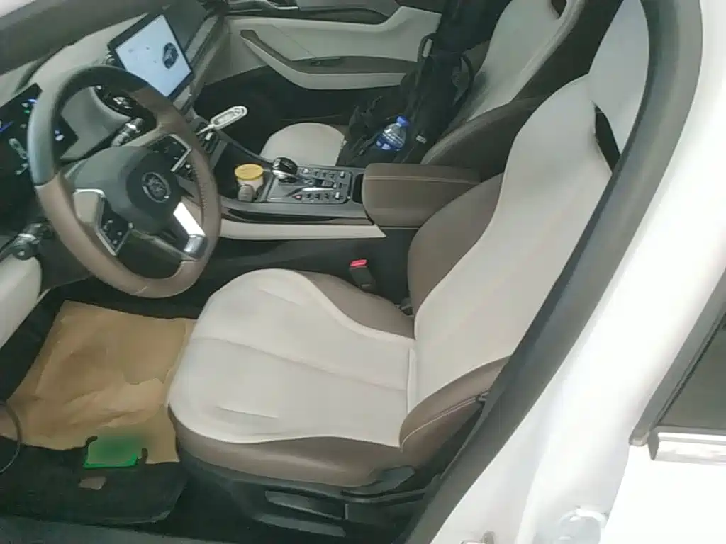 BYD Qin PLUS 2025 — фото 15