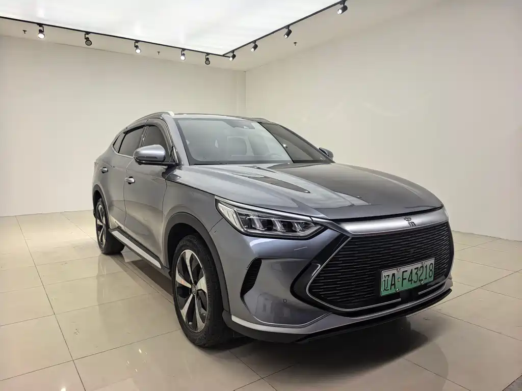 BYD PLUS New Energy 2023 — фото 3