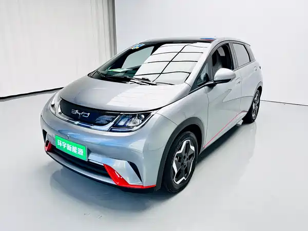 BYD Dolphin 2021