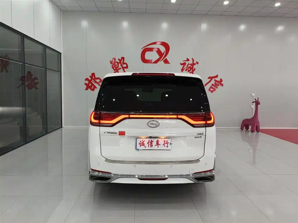 GAC Motor Trumpchi M8 2021 — фото 15