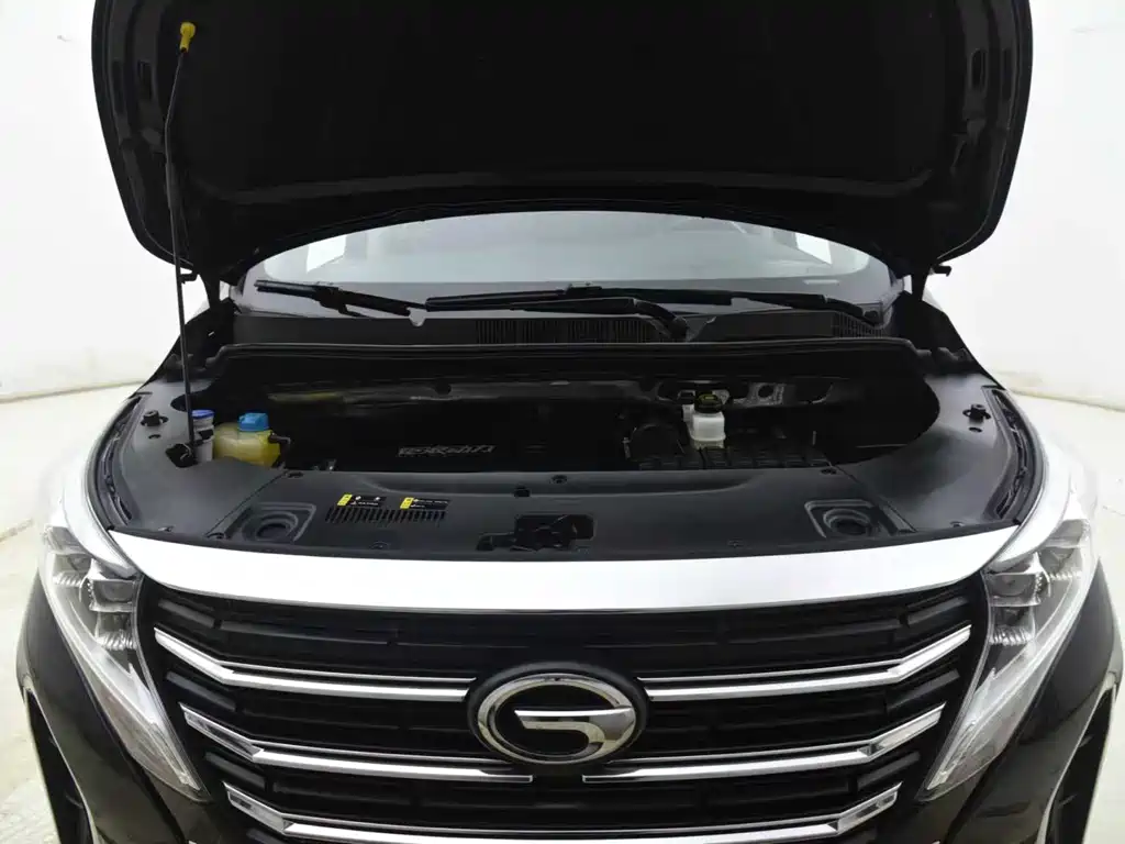 GAC Motor Trumpchi M8 2023 — фото 12