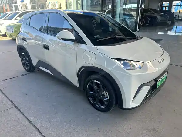 BYD Seagull 2024