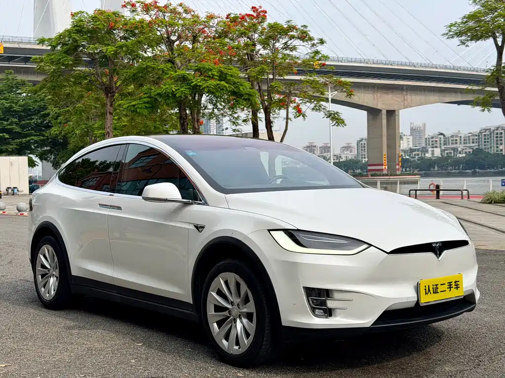 Tesla Model X 2017 — фото 7