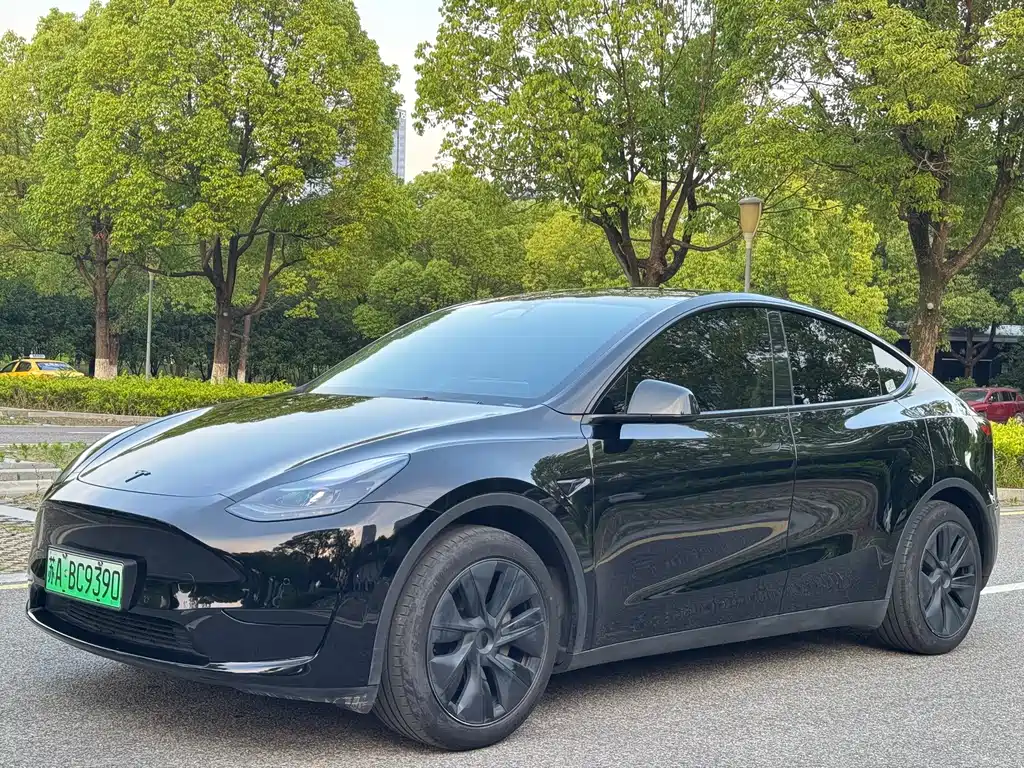 Tesla Model Y 2024 — фото 1