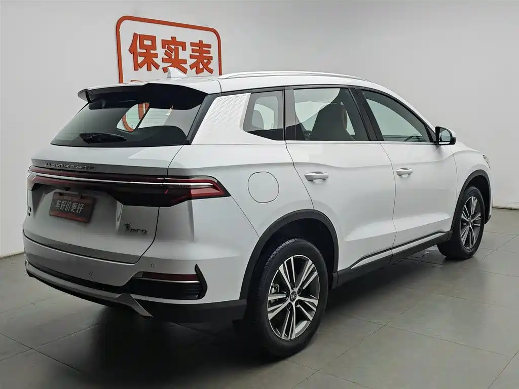 BYD Pro New Energy 2023 — фото 2