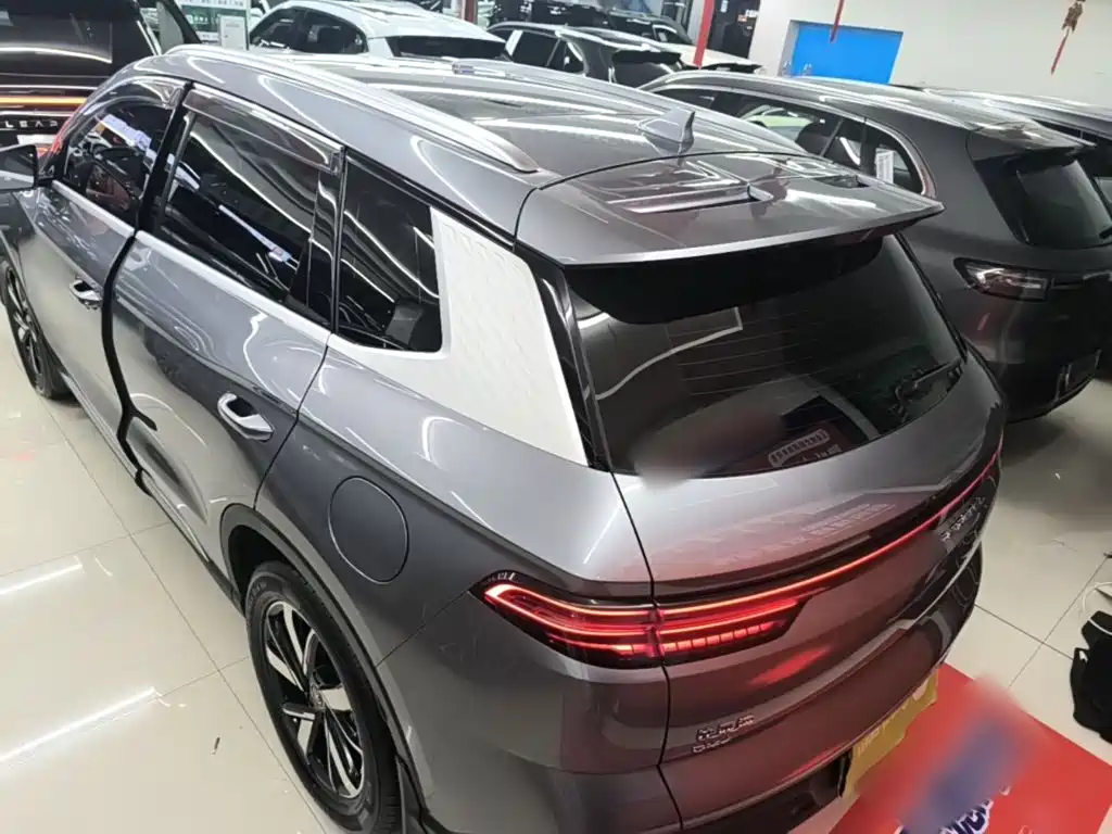 BYD Pro New Energy 2024 — фото 5