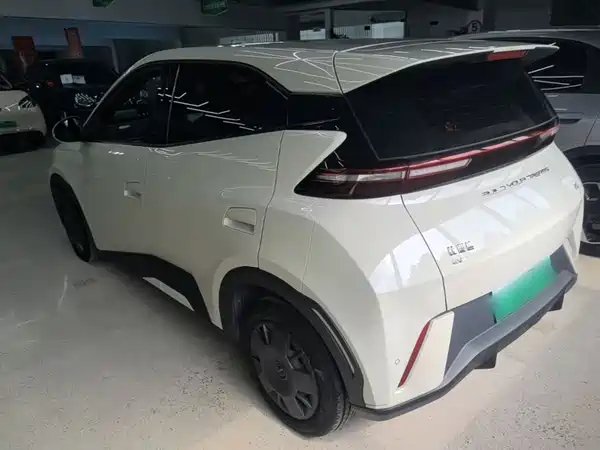 BYD Seagull 2024