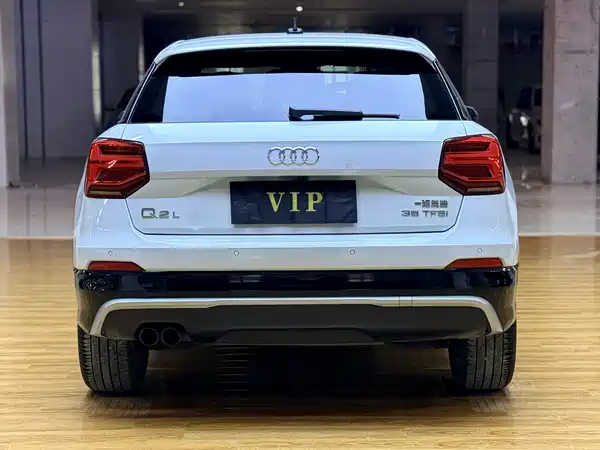Audi Q2L 2019