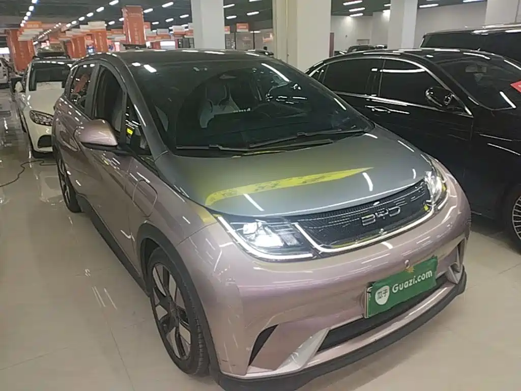 BYD Dolphin 2022