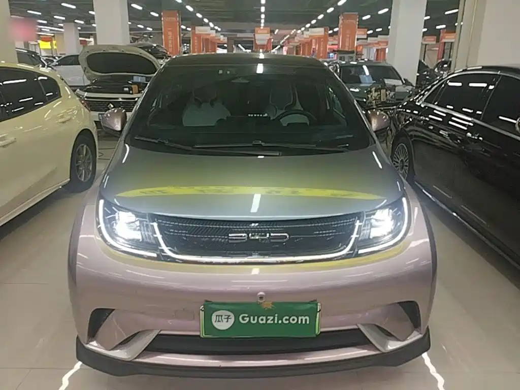 BYD Dolphin 2022