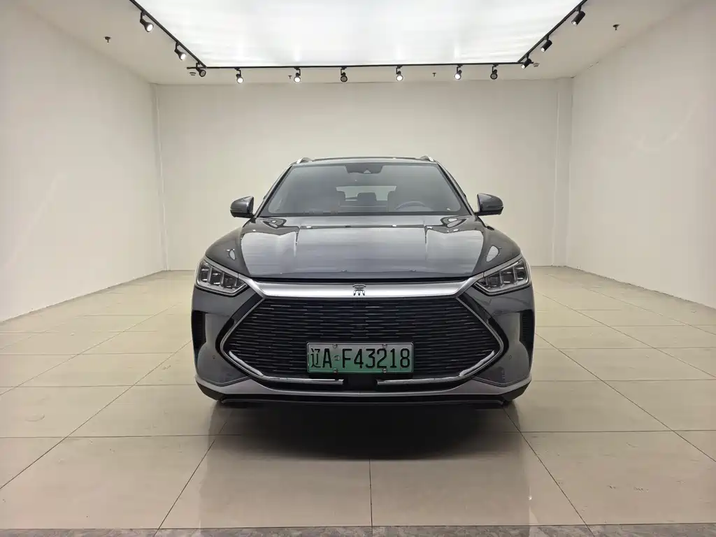 BYD PLUS New Energy 2023 — фото 2