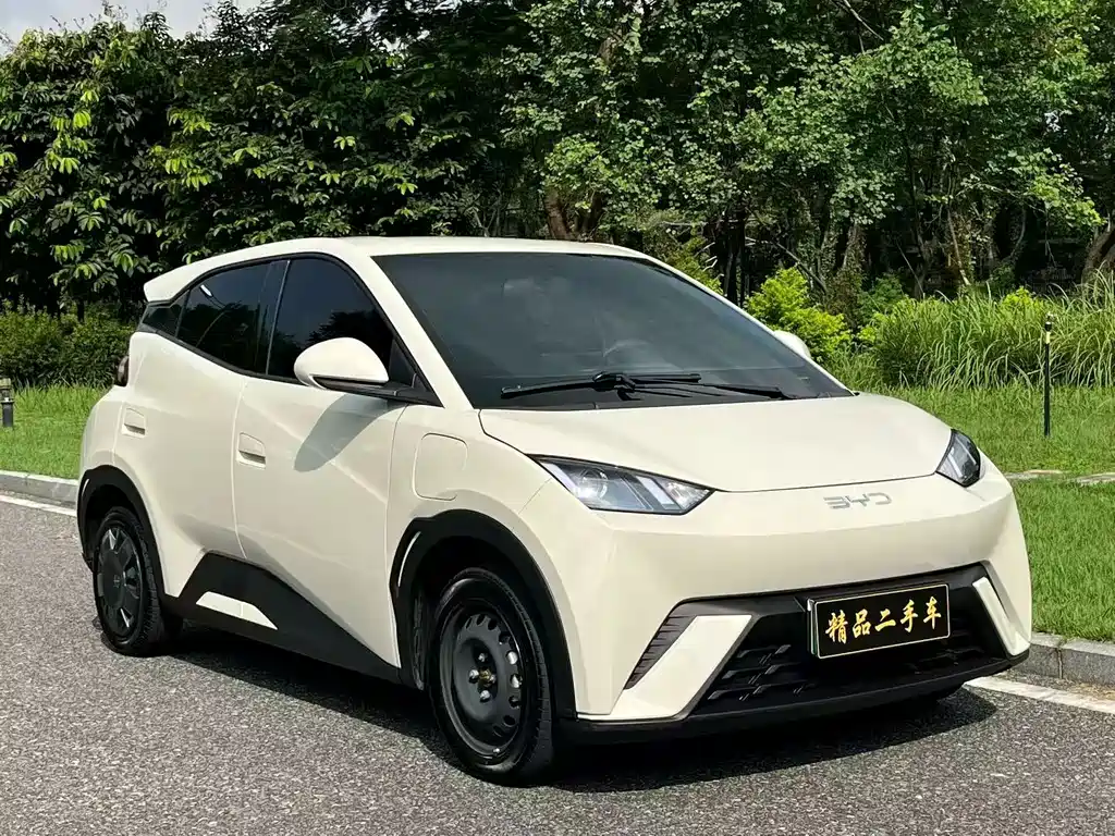 BYD Seagull 2024