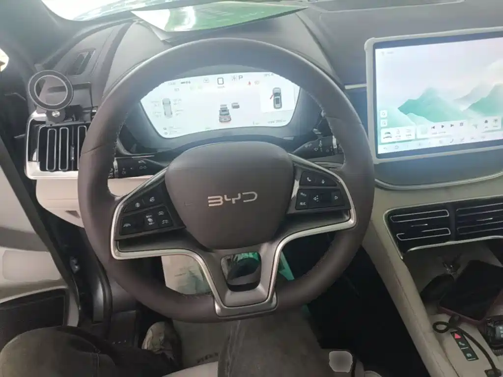 BYD PLUS New Energy 2025 — фото 10