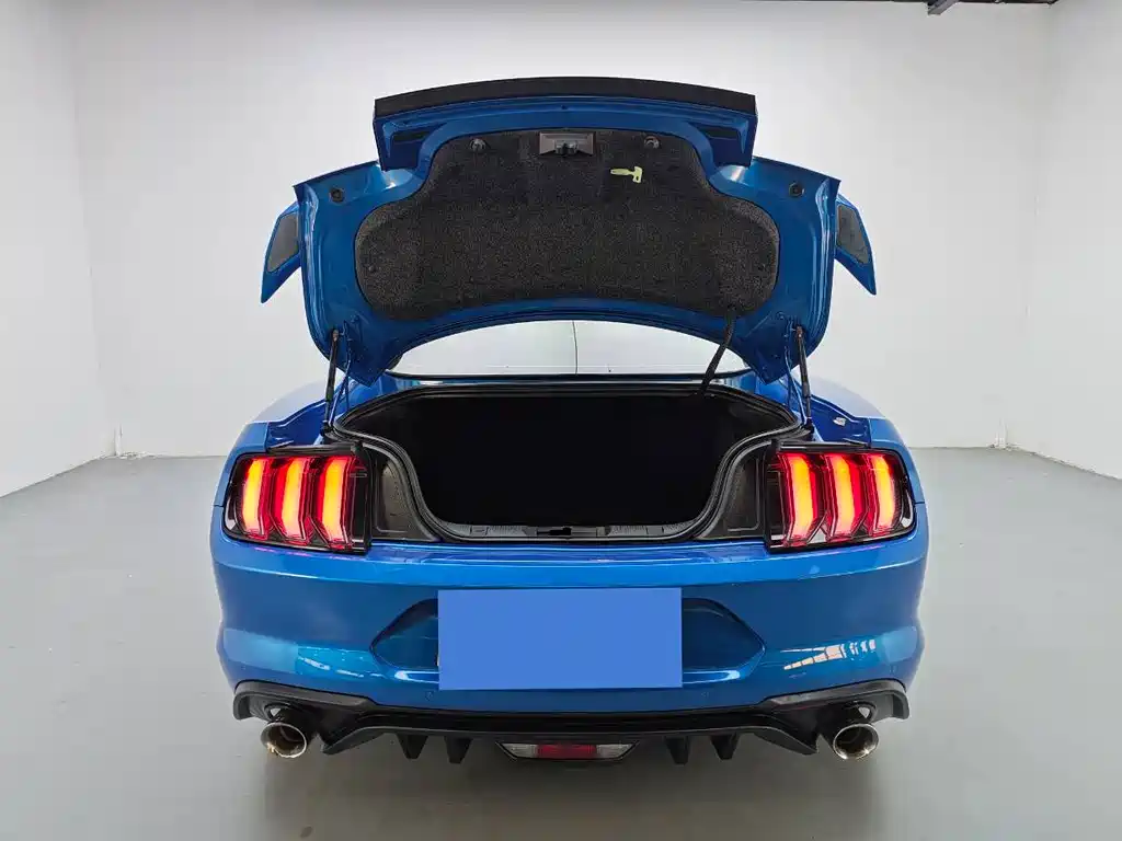 Ford Mustang 2021 — фото 19