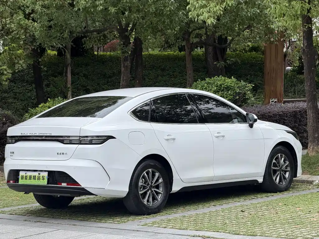 BYD Destroyer 05 2024 — фото 2