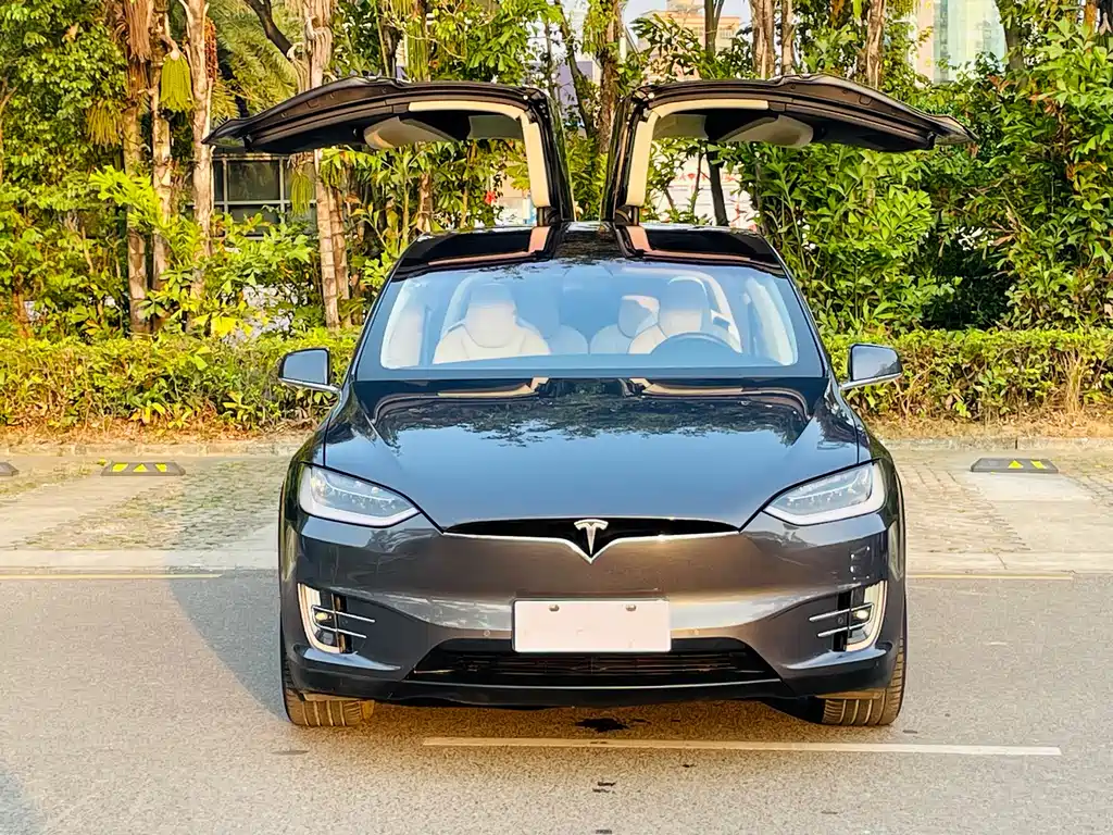 Tesla Model X 2019 — фото 13