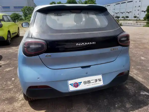 Dongfeng Nano 01 2024