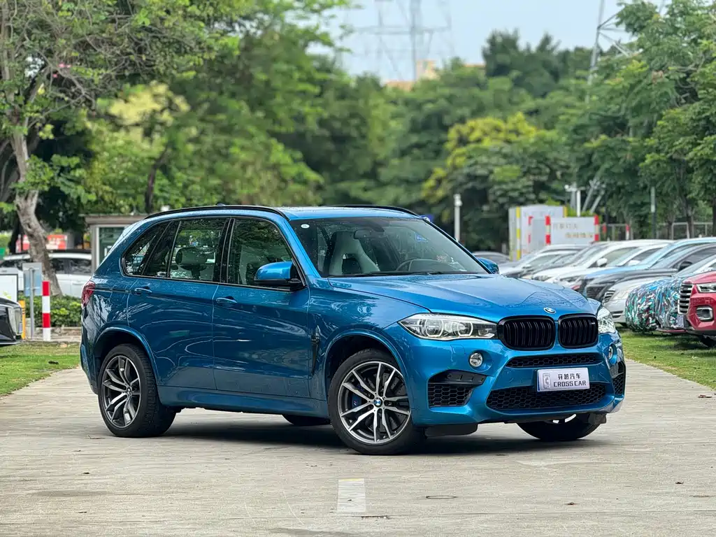 BMW X5 M 2016 — фото 3