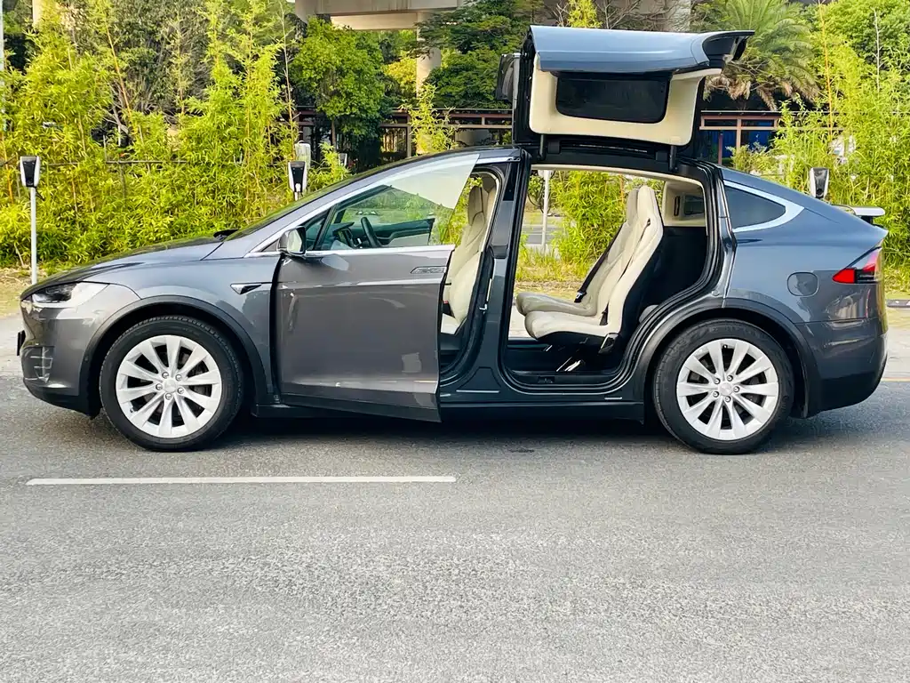 Tesla Model X 2019 — фото 7