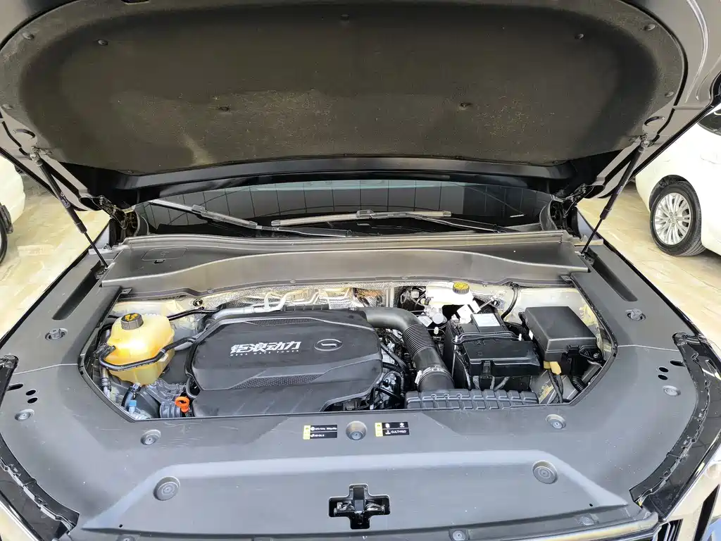 GAC Motor Trumpchi GS8 2023 — фото 17