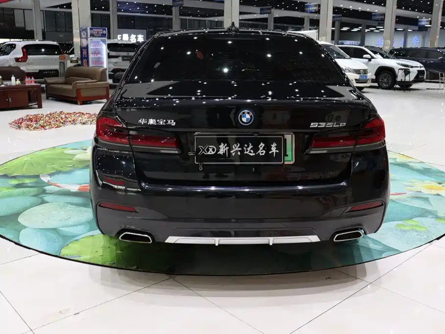 BMW 5 Series New Energy 2022