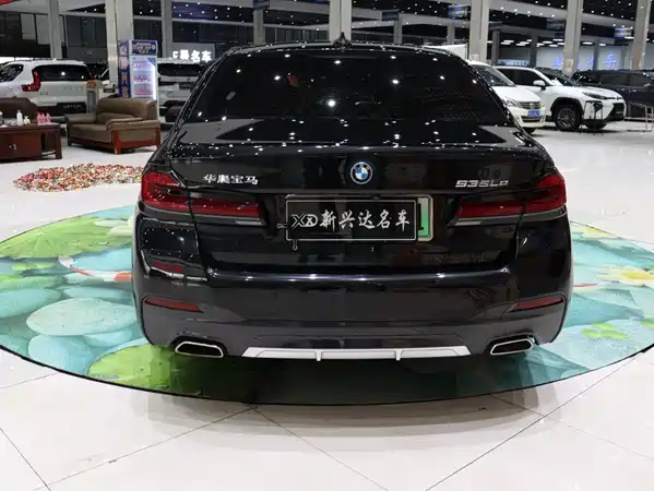 BMW 5 Series New Energy 2022