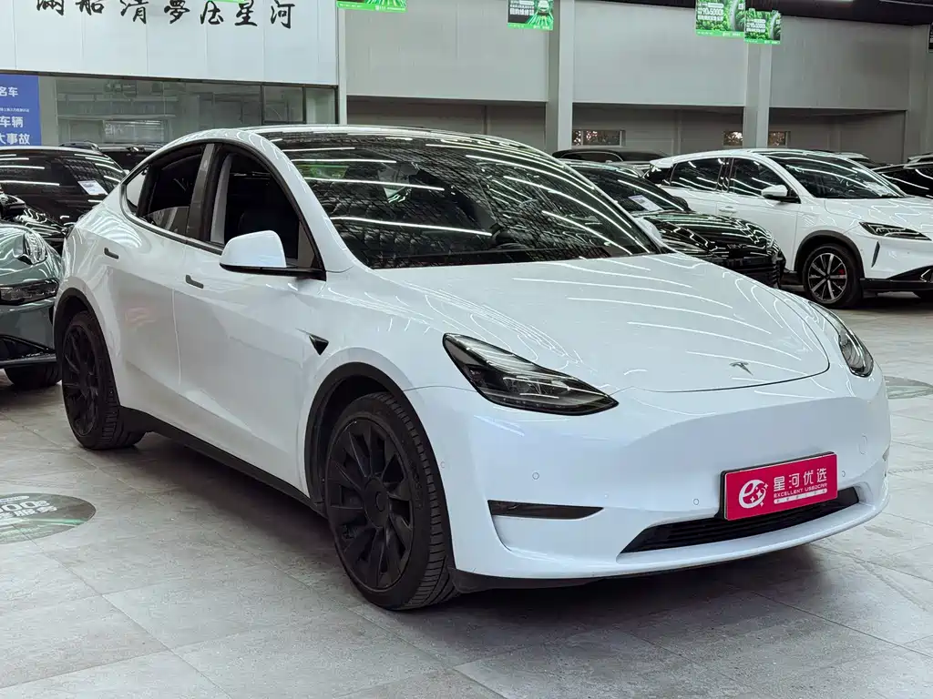 Tesla Model Y 2021 — фото 3